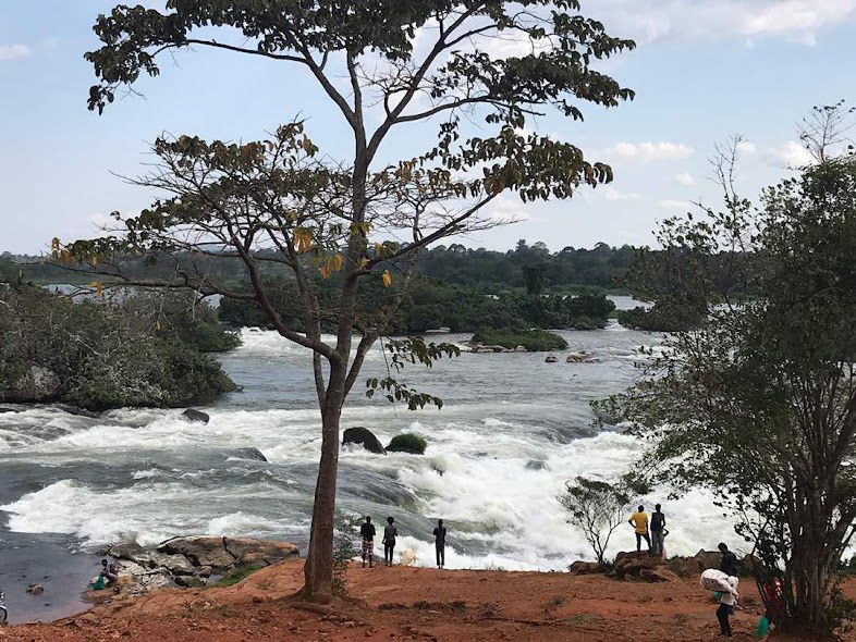 Uganda Safari Planning