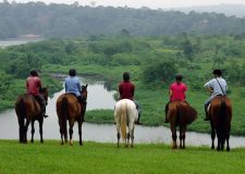 Jinja - Adventure Capital image 4