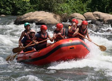 Jinja - Adventure Capital image 5