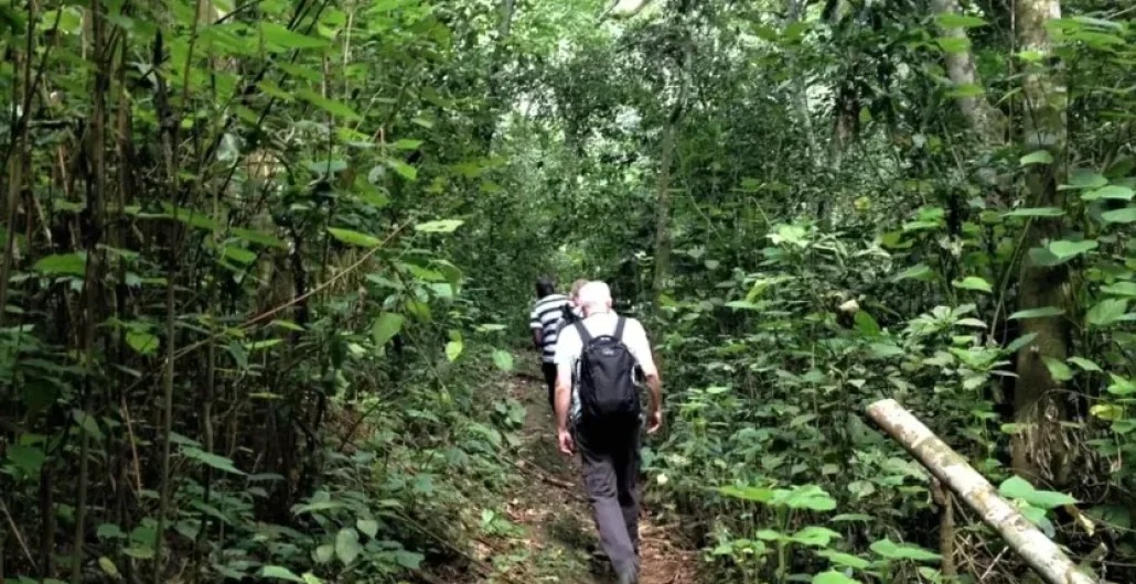 Jinja - Adventure Capital image 2