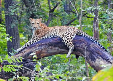 Lake Mburo National Park image 4