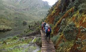 Mountain Rwenzori National Park image 4
