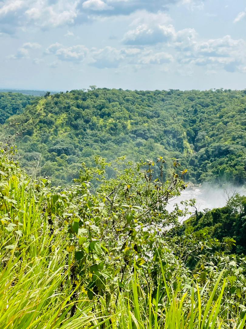 Murchison Falls National Park image 3