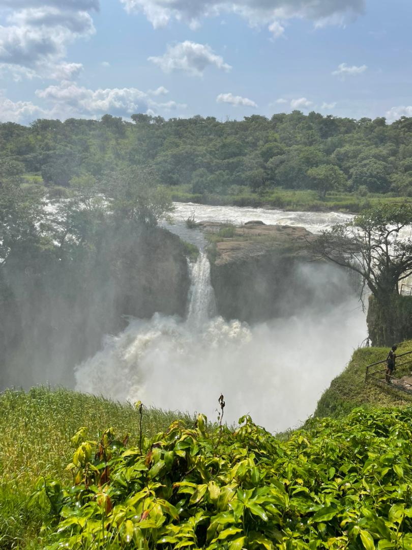 Murchison Falls National Park image 4