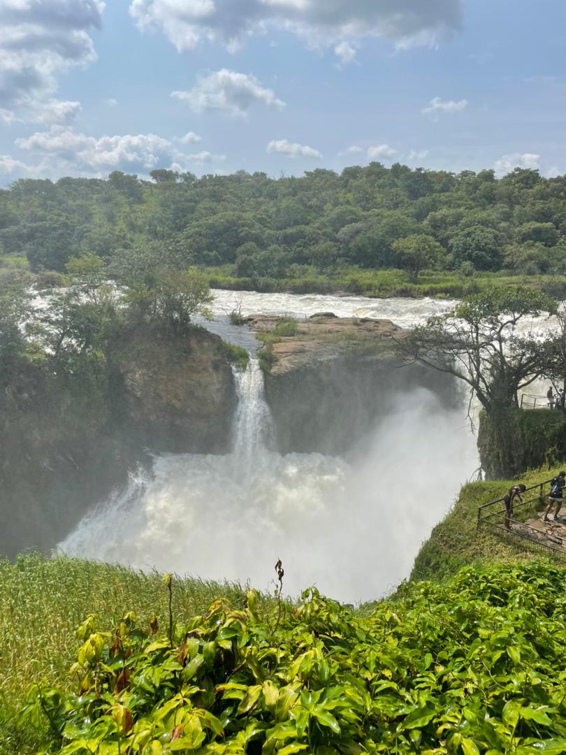 Murchison Falls National Park image 5