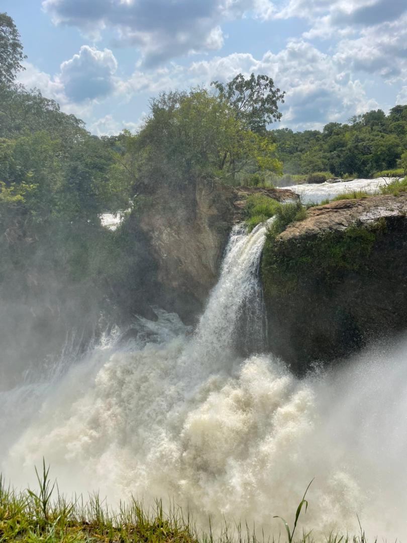 Murchison Falls National Park image 6